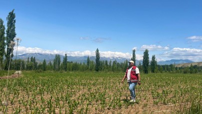 Yem bitkileri için saha çalışmaları başlatıldı