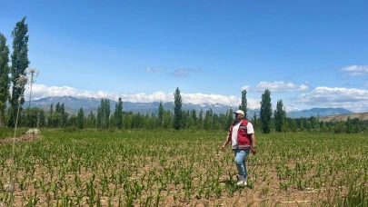 Yem bitkileri için saha çalışmaları başlatıldı