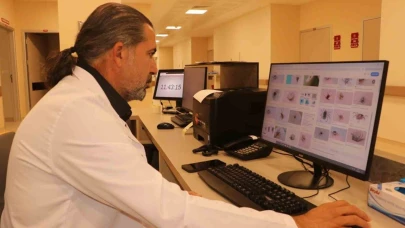 Uzmanından kene uyarısı; Kapalı giysileri tercih edin!