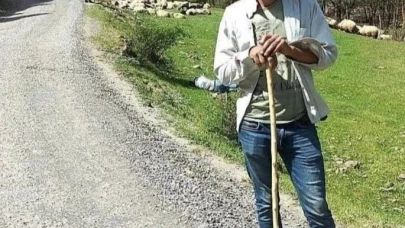 Trabzonlu çoban Gümüşhane’de kene ısırması sonucu hayatını kaybetti