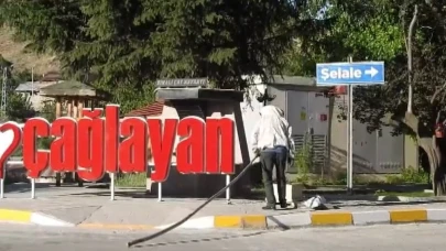 Erzincan’da arı paniği