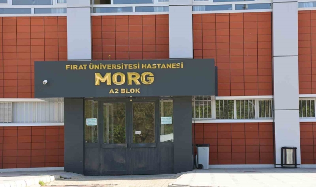 Elazığ'da uçurumdan düşen genç hayatını kaybetti