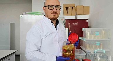 Geleneksel turşular bilime konu oldu