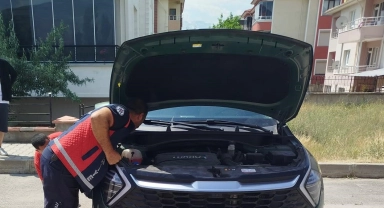 Otomobilin kaput kısmına sıkışan yavru kediler kurtarıldı