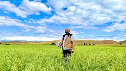 Tarımda saha çalışmaları sürüyor