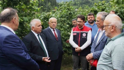 Bahçeye inmeyen fındık üreticisine sitem...