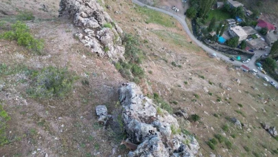 Dağ keçileri köye indi