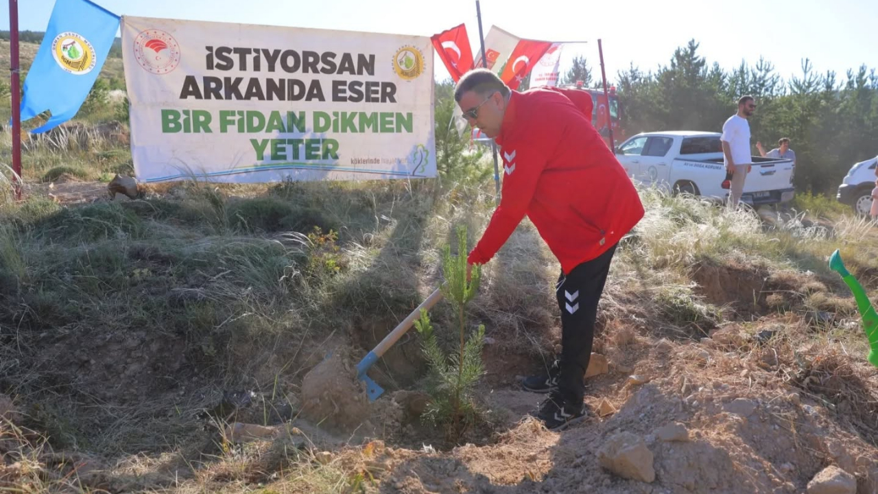 15 Temmuz etkinlikleri kapsamında fidanlar toprakla buluştu