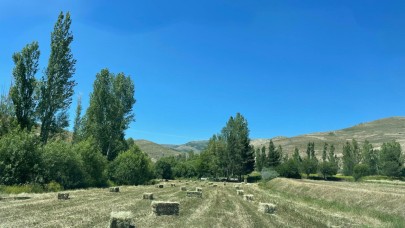 ÇKS kayıtları askıda