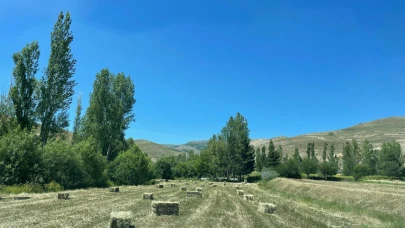 ÇKS kayıtları askıda