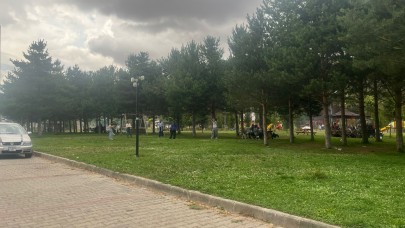 Kapalı havaya rağmen mesire alanları doldu