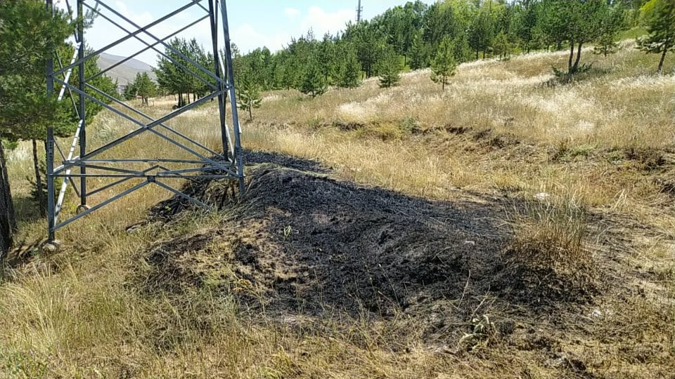 Yüksek gerilim hattında çıkan yangın büyümeden söndürüldü