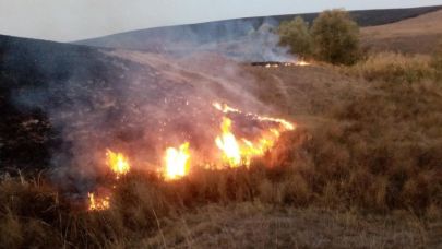 Anız yangınlarına karşı uyarı: "Geleceği yakmayın"