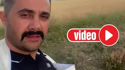 Amatör arıcının, arıyla imtihanı!