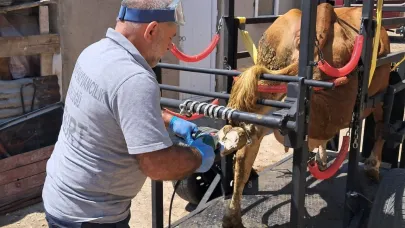 Aydıntepe’de Travay Projesi kapsamında ilk saha uygulaması yapıldı