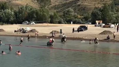 Sıcaktan bunalan sadece insanlar değil!