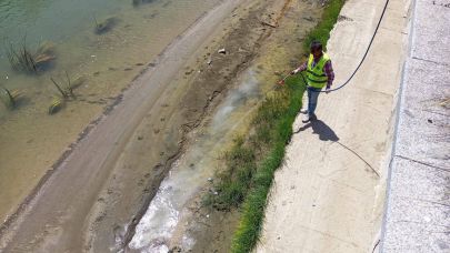 Larvalarla mücadele sürüyor