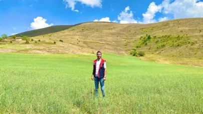 Bayburt’ta yem bitkileri için saha çalışmaları sürüyor