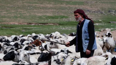 Yetiştiricilere 127,7 milyon TL kredi desteği