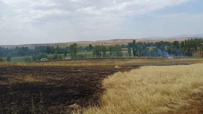 28 dönüm tarla küle döndü!