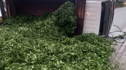 Kaza sonrası yola saçılan kamyon kasasındaki 10 ton çayı böyle temizlediler