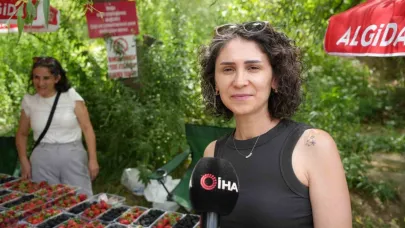 Kavurucu sıcaklarda çilek ve böğürtlen mevsimi
