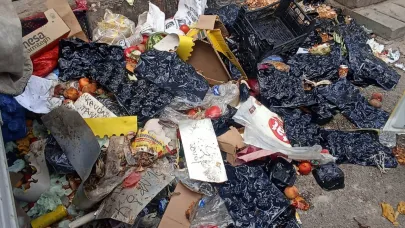 Çöpe giden gıdalar, rahatsızlık verici…