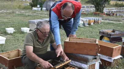 Masat köyünde bal hasadı değerlendirildi
