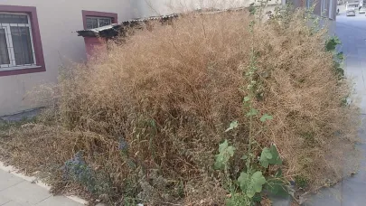 Ot yığınları hayatı tehdit ediyor!