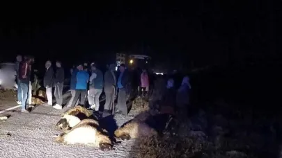 Erzincan’da otomobil koyun sürüsüne daldı