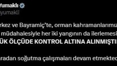 Bakan Yumaklı: "Yangınlar büyük ölçüde kontrol altına alınmıştır"
