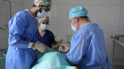 Belediyeden sokak hayvanlarına şefkat eli…
