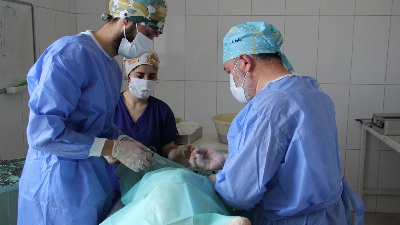 Belediyeden sokak hayvanlarına şefkat eli…