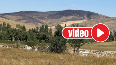 Güllüce'de bir dağ küle döndü!