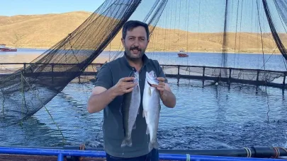 Demirözü'den dünyaya somon ihracatı
