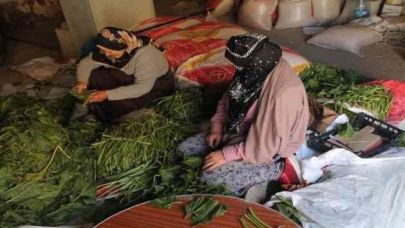 Kışlık konserve, turşu hazırlıkları başladı