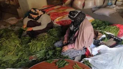Kışlık konserve, turşu hazırlıkları başladı