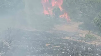 Gümüşhane’de çobanın yaktığı ateş yangına sebep oldu