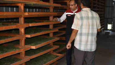 Tarhun Kurutma Tesisi ve üretim alanları incelendi