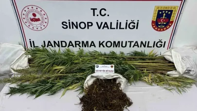 Sinop’ta 425 gram kubar esrar ve 56 kök kenevir bitkisi ele geçirildi