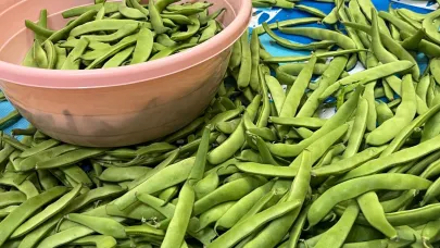 Bayburtlu kadınları kışlık gıda telaşı sardı