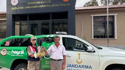 Yaralı Şahin’e jandarmadan şefkat eli