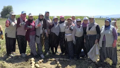 Kışlık patates hasadı başladı, rekolte üreticilerin yüzünü güldürdü