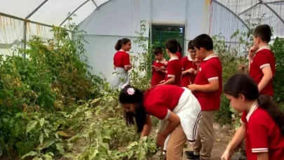 Erzincan’da öğrenciler serada kış sebzelerinin ekimine başladı