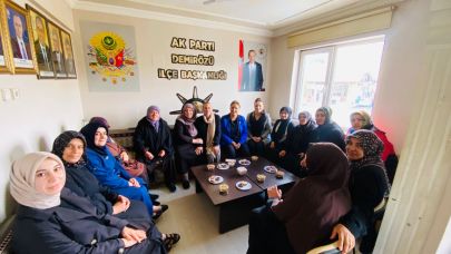 AK Partili kadınlardan Demirözü çıkarması