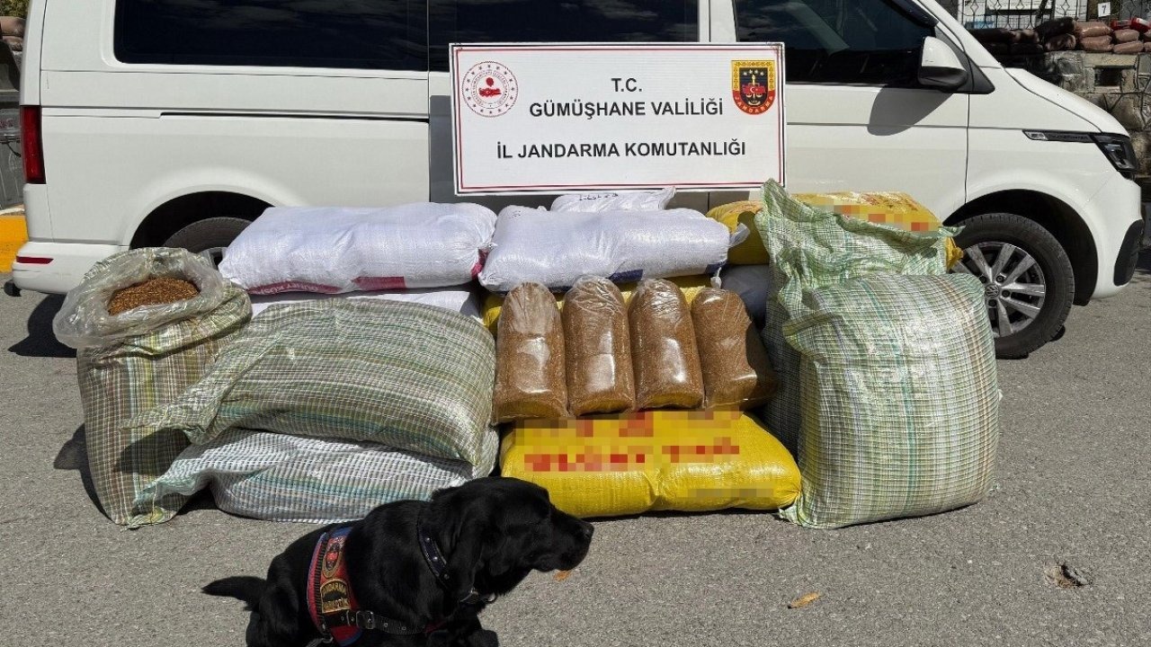 Gümüşhane’de kaçak tütün operasyonu: 530 kilo tütün ele geçirildi