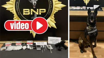 Paplo görev başında; uyuşturucuya geçit yok!
