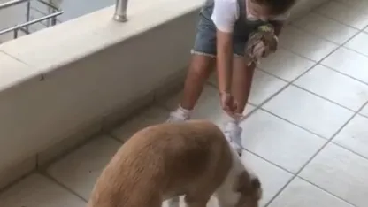 Minik Gökçe’den örnek davranış