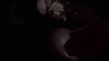 Yüksekova’da su samuru görüntülendi