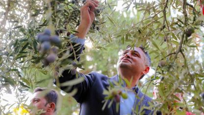’Zeytinin Yolculuğu’ Aliağa’da şenlikle kutlandı